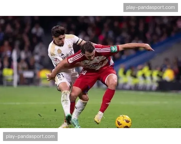 全场结束：皇马3-0格拉纳达，罗德里戈传射建功