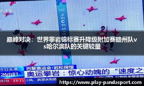 熊猫体育