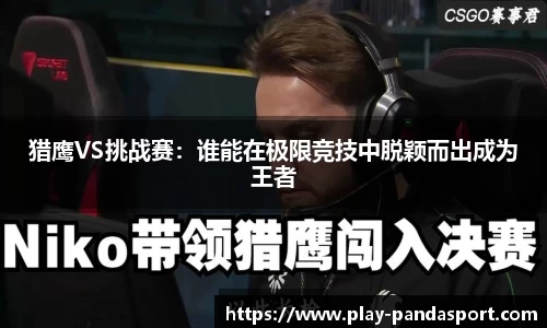 猎鹰VS挑战赛：谁能在极限竞技中脱颖而出成为王者