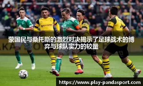 熊猫体育